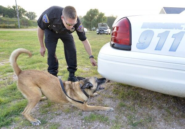 Police K-9 Kane retirement